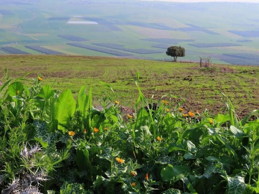 Suite Kolibri In Galilee Semadar Экстерьер фото